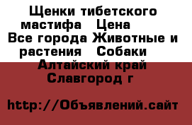 Щенки тибетского мастифа › Цена ­ 80 - Все города Животные и растения » Собаки   . Алтайский край,Славгород г.